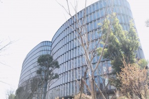 闵行吴泾，享受大张江政策，500起租，园区环境好，落地玻璃采光好，标准实验用地