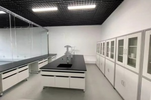 【亦庄生物医药产业专业园区220平带装修实验室出租】