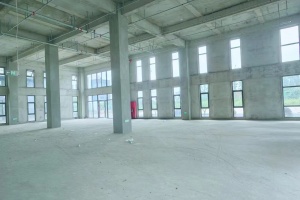 莘庄工业区，生物医药产业园，可做中试，环境优美300平实验室