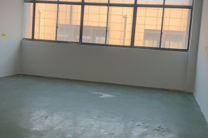奉贤美谷，成熟研发园区，200平可环评，价格实惠
