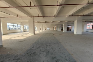 外高桥地铁航津路，一楼1000平标准研发楼，价格实惠，场地宽