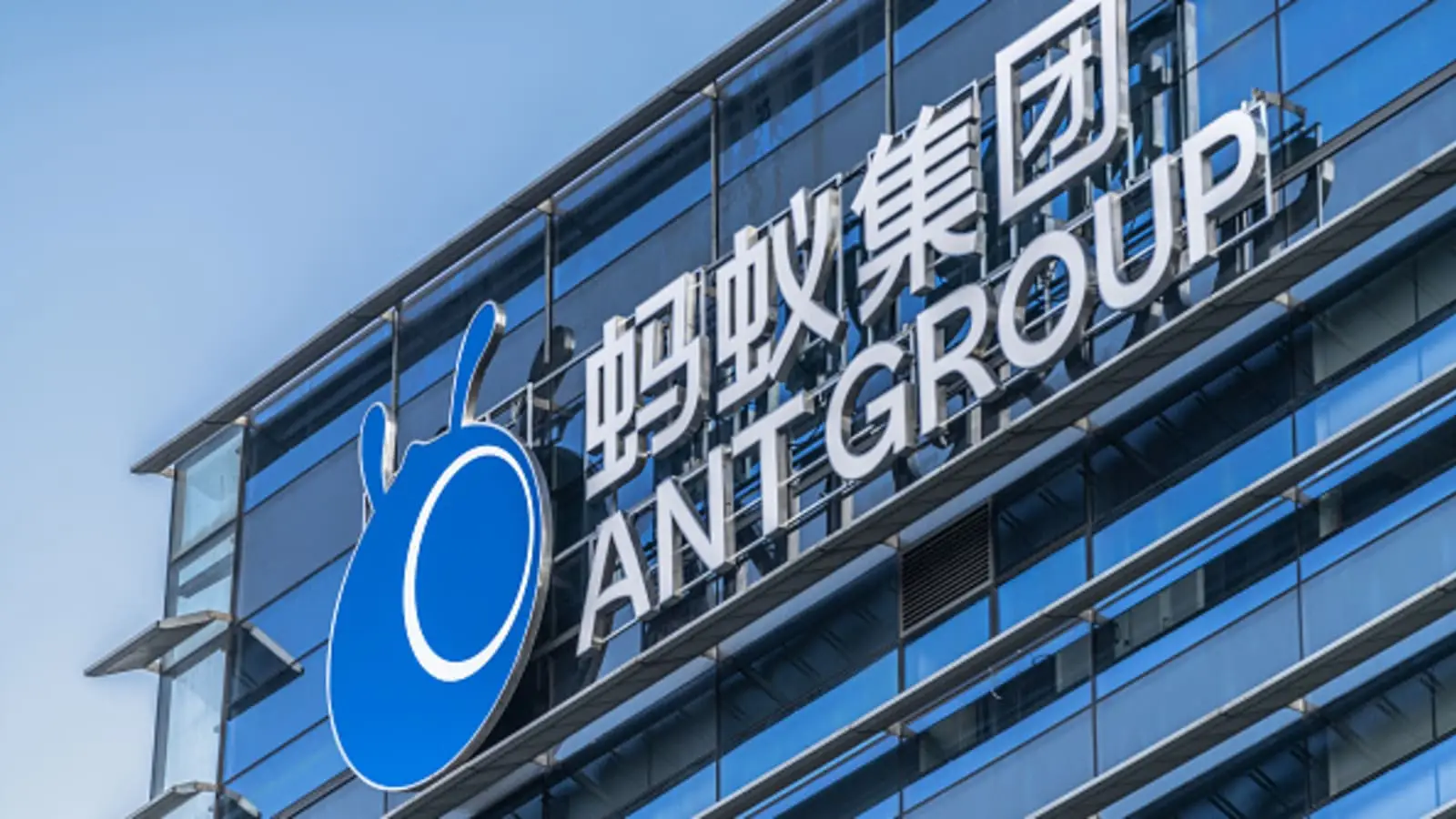 蚂蚁集团宣布与郑钦文续约