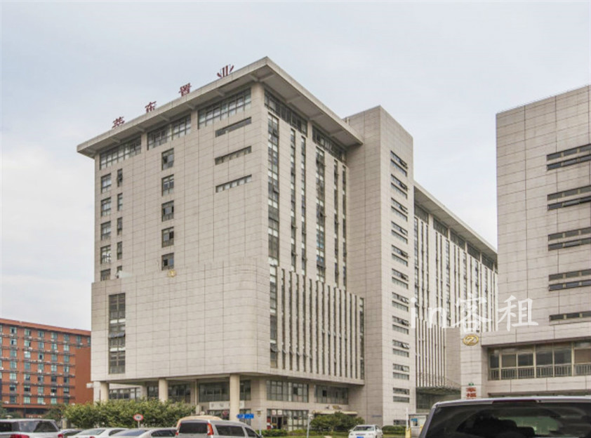 莘东置业大厦